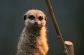 Zoo Straubing_043